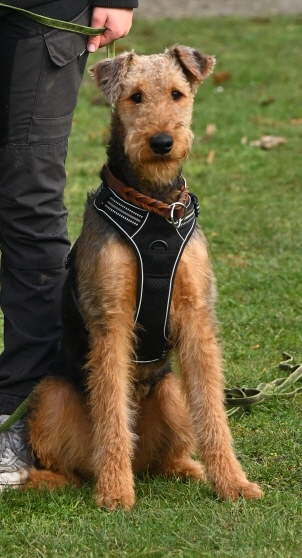 Astra_DSC0639