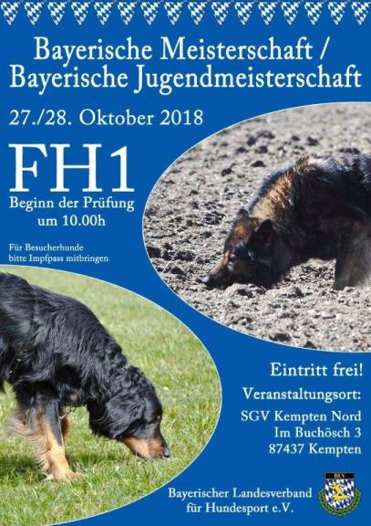 BMFH12018_Ausschreibung2