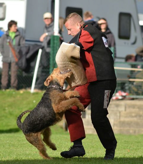 KLSP2021_Baldur_C1 KLSP2021_Baldur_C1